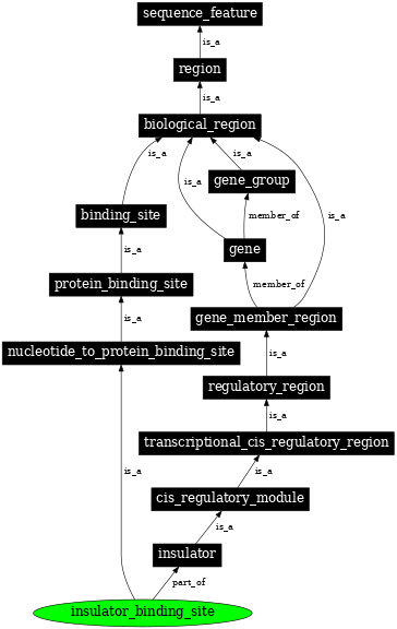 Graph image for SO:0001460