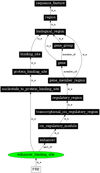 Graph image for SO:0001461