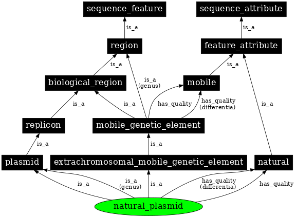 Graph image for SO:0001476