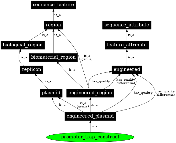 Graph image for SO:0001478