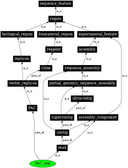 Graph image for SO:0001480