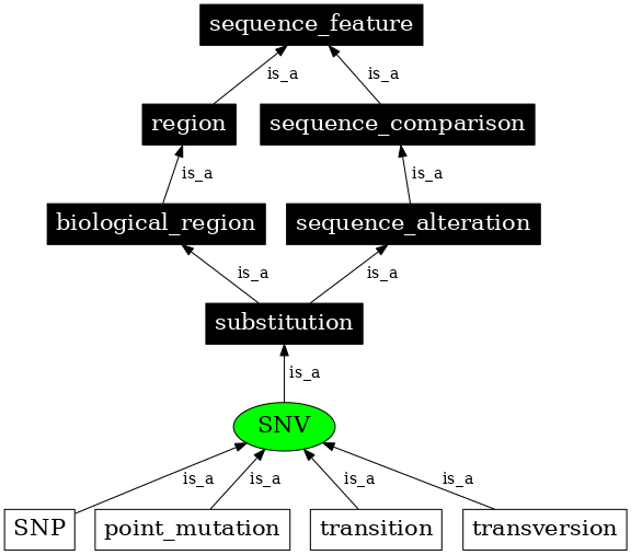 Graph image for SO:0001483