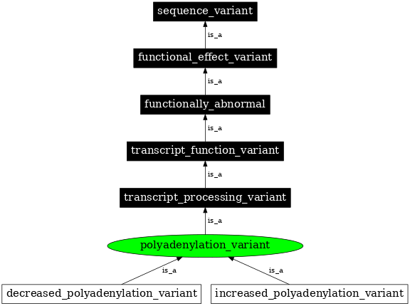 Graph image for SO:0001545