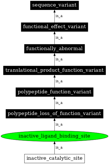 Graph image for SO:0001560