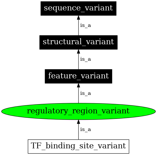 Graph image for SO:0001566