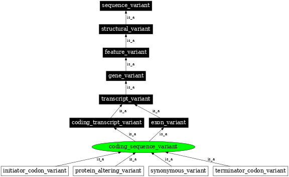 Graph image for SO:0001580