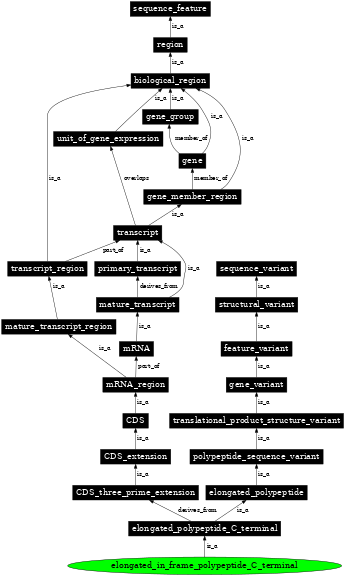 Graph image for SO:0001612