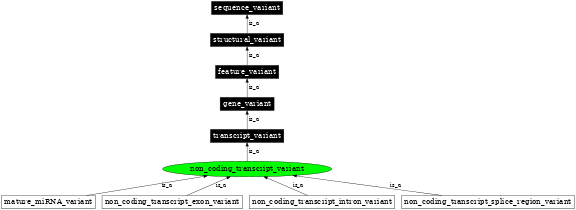 Graph image for SO:0001619