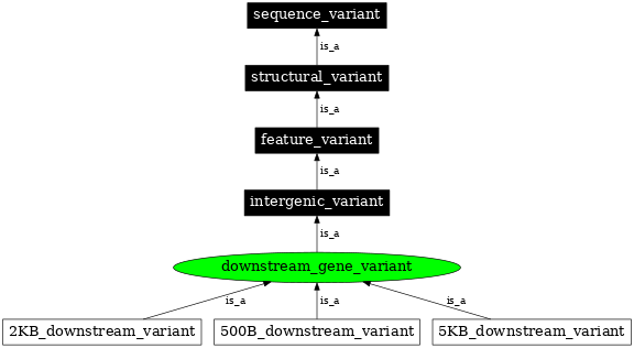 Graph image for SO:0001632