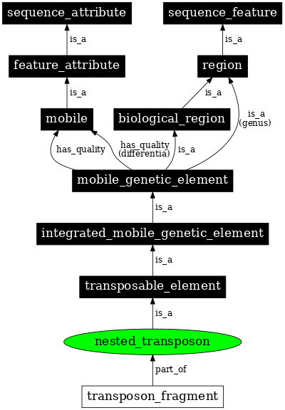 Graph image for SO:0001648