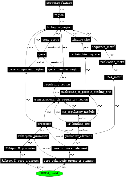 Graph image for SO:0001663