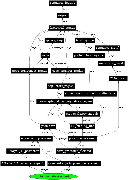 Graph image for SO:0001677