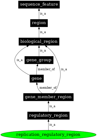 Graph image for SO:0001682