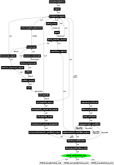 Graph image for SO:0001736