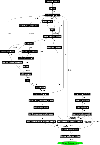 Graph image for SO:0001738