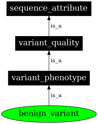 Graph image for SO:0001770