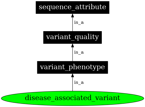 Graph image for SO:0001771