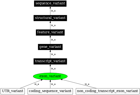 Graph image for SO:0001791