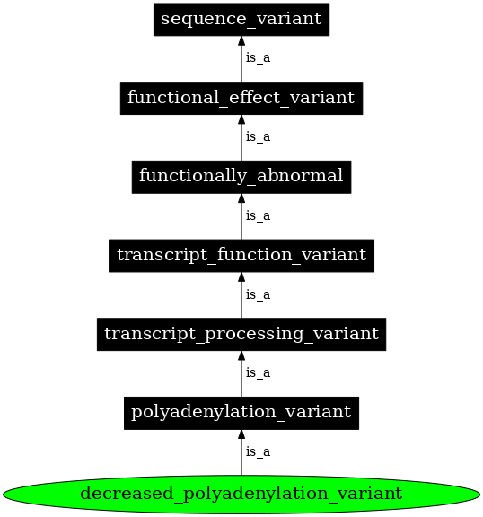 Graph image for SO:0001803