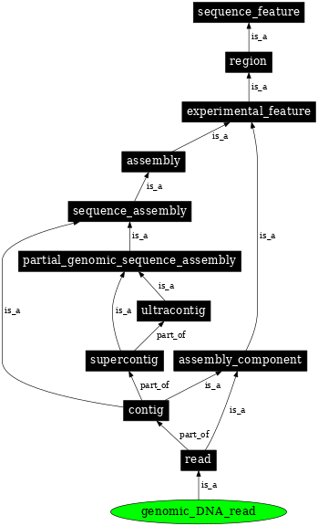 Graph image for SO:0001828