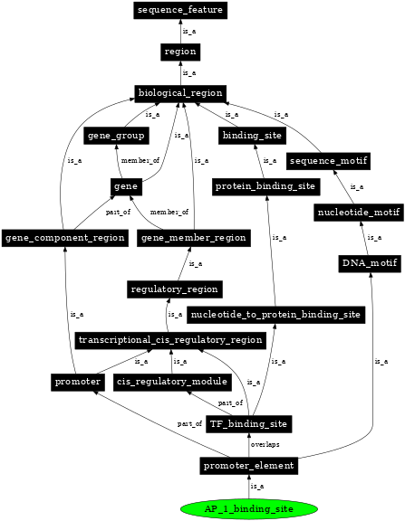 Graph image for SO:0001842