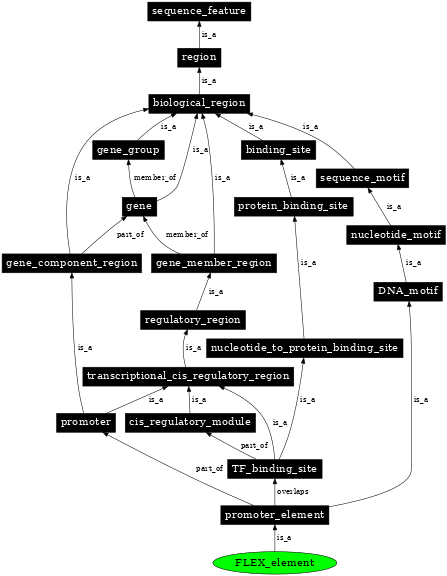 Graph image for SO:0001846