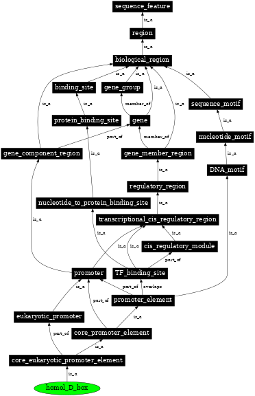 Graph image for SO:0001848