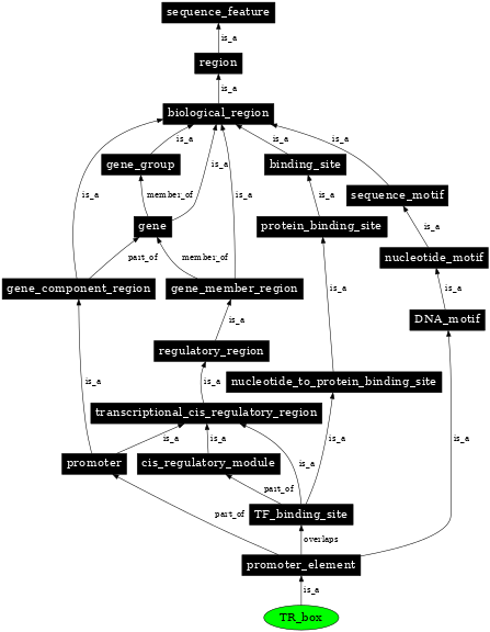 Graph image for SO:0001858