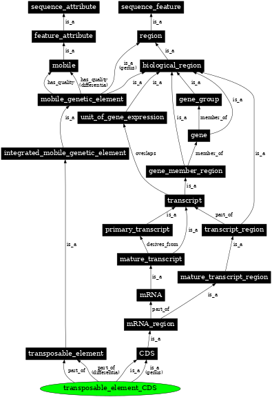 Graph image for SO:0001896