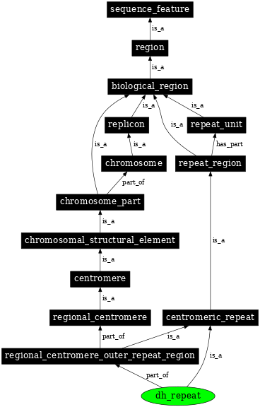 Graph image for SO:0001899