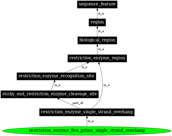 Graph image for SO:0001932