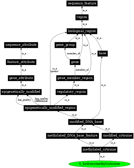 Graph image for SO:0001960