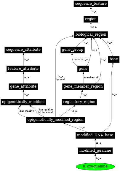 Graph image for SO:0001965