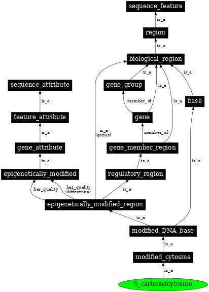 Graph image for SO:0001966