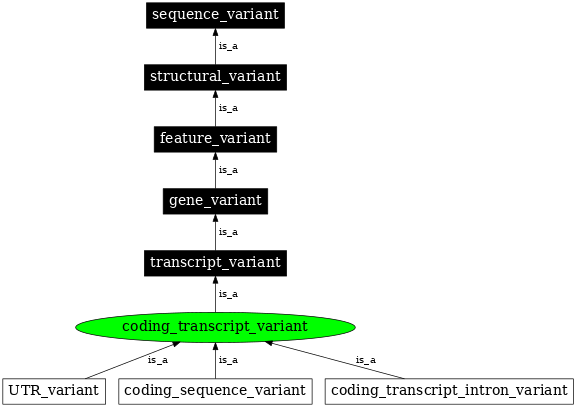 Graph image for SO:0001968