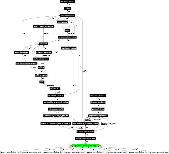 Graph image for SO:0001973