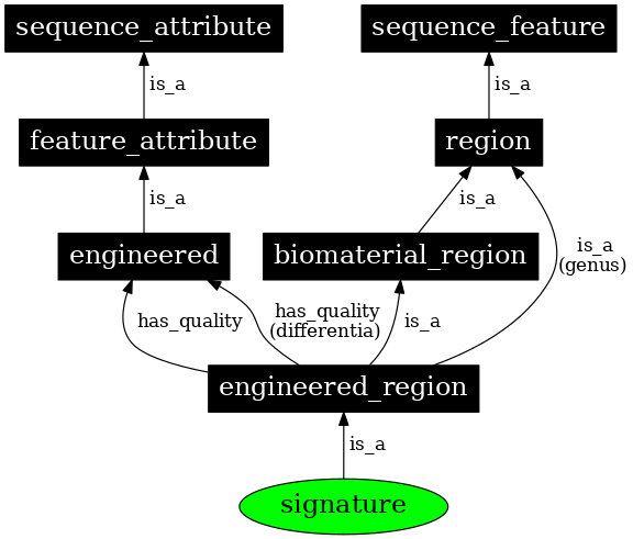 Graph image for SO:0001978