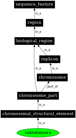 Graph image for SO:0001997