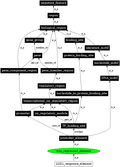 Graph image for SO:0002006