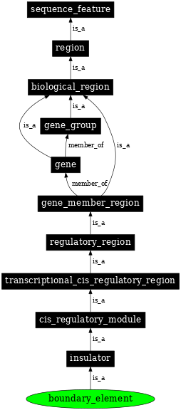 Graph image for SO:0002020