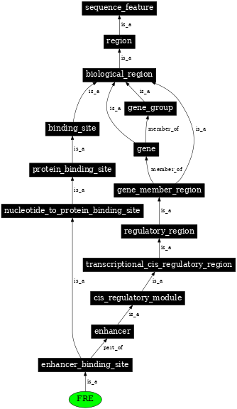 Graph image for SO:0002046