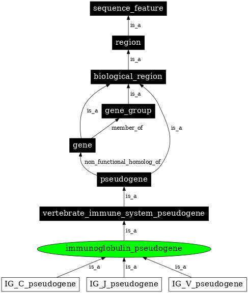 Graph image for SO:0002098