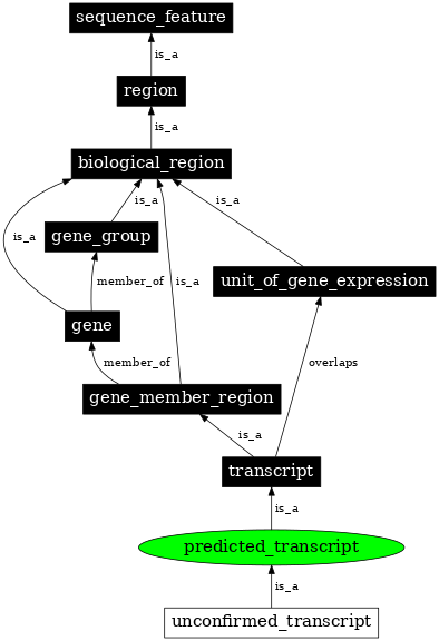 Graph image for SO:0002138