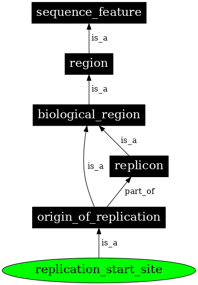 Graph image for SO:0002203