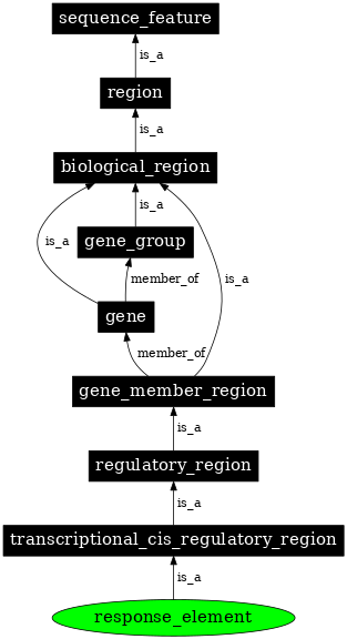 Graph image for SO:0002205