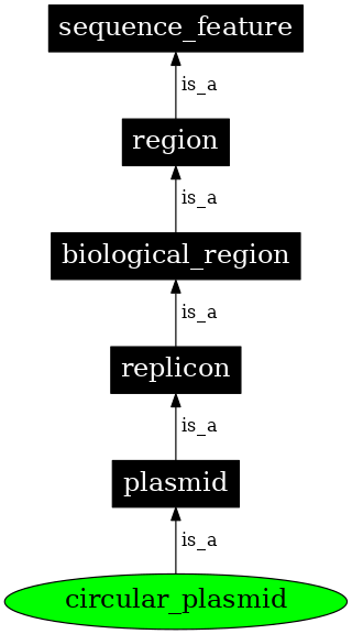 Graph image for SO:0002211