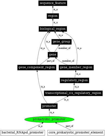 Graph image for SO:0002222