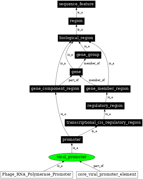 Graph image for SO:0002311