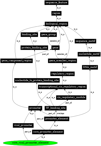 Graph image for SO:0002313