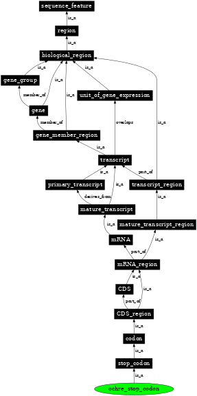 Graph image for SO:0002334